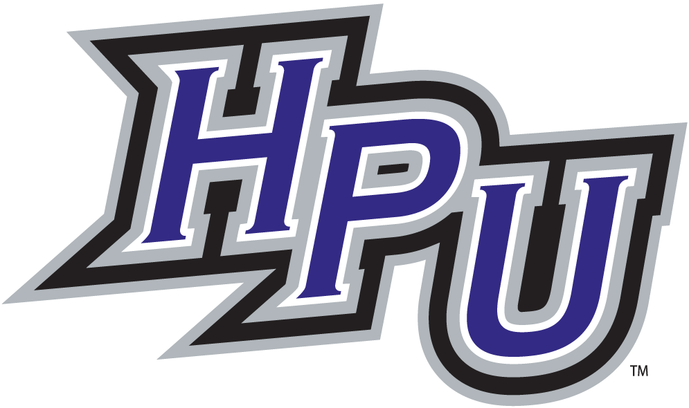 High Point Panthers 2004-Pres Alternate Logo 03 iron on paper